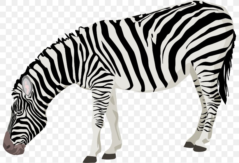 Zebra Clip Art, PNG, 800x561px, Zebra, Animal Figure, Black And White, Cuteness, Free Content Download Free