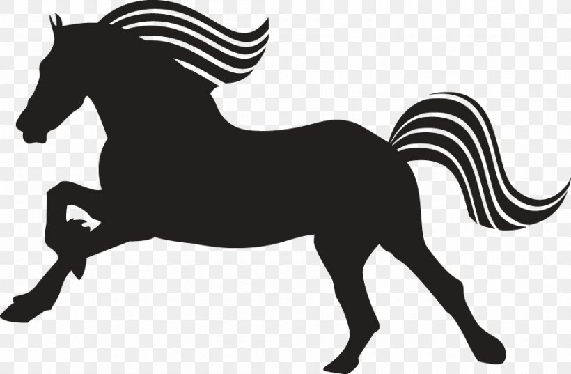 Friesian Horse Mustang Arabian Horse Peruvian Paso Appaloosa, PNG, 897x588px, Friesian Horse, Animal, Appaloosa, Arabian Horse, Black Download Free