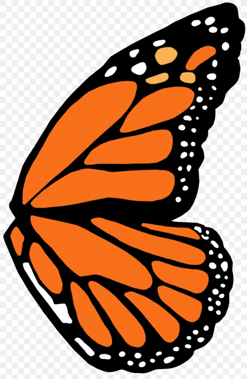 Monarch Butterfly Nymphalidae Clip Art, PNG, 1045x1600px, Monarch Butterfly, Artwork, Brush Footed Butterfly, Butterfly, Food Download Free