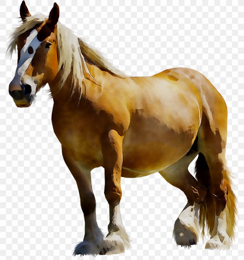 Clip Art Mustang Clydesdale Horse Arabian Horse, PNG, 1184x1262px, Mustang, Albanian Horse, Animal Figure, Arabian Horse, Black Download Free
