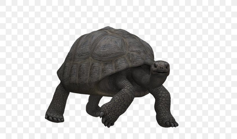Tortoise Turtle Reptile Image, PNG, 640x480px, Tortoise, Animal Figure, Digital Art, Figurine, Organism Download Free