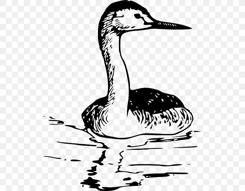 Clip Art Openclipart Image Grebes, PNG, 529x640px, Grebes, Beak, Bird, Black And White, Drawing Download Free