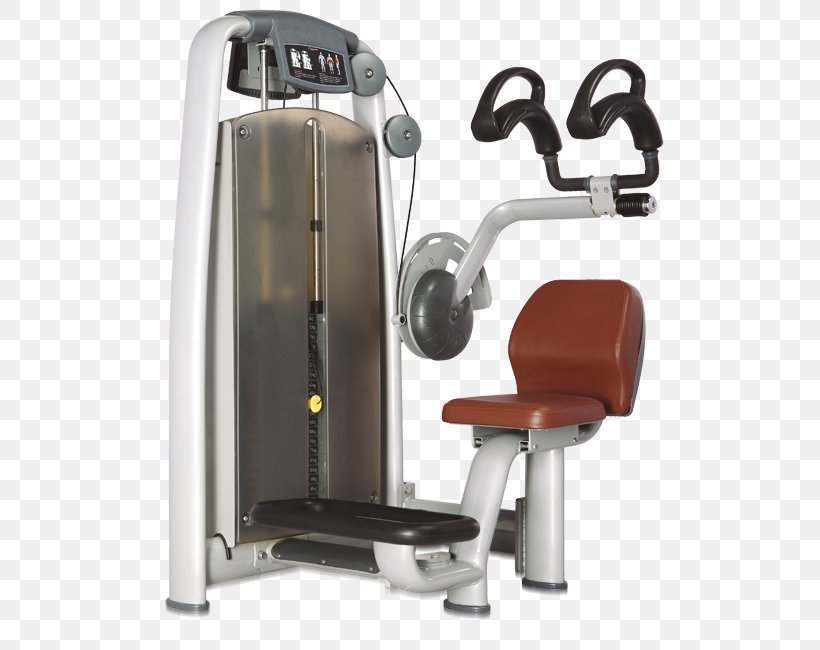 Exercise Machine Abdomen Biceps Weightlifting Machine, PNG, 555x650px, Exercise Machine, Abdomen, Abdominal Wall, Biceps, Biceps Curl Download Free