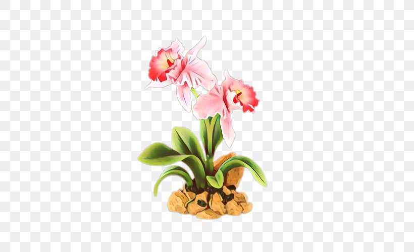 Flower Flowering Plant Plant Moth Orchid Pink, PNG, 500x500px, Cartoon, Amaryllis Belladonna, Cut Flowers, Flower, Flowering Plant Download Free