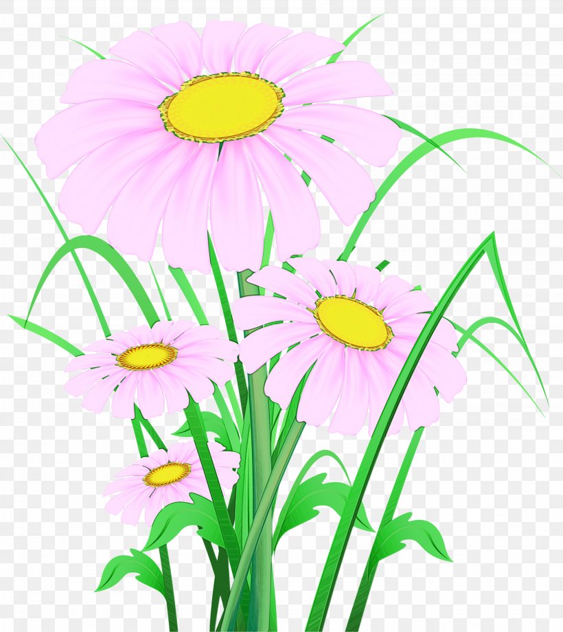 Flowers Background, PNG, 2672x3000px, Watercolor, Camomile, Chamomile, Common Daisy, Cut Flowers Download Free