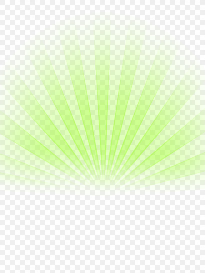 Light Green Sky Leaf, PNG, 1400x1866px, Light, Grass, Green, Leaf, Sky Download Free