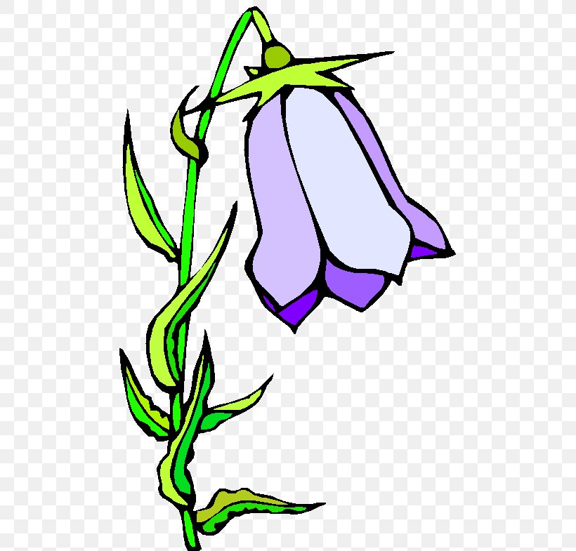 Drawing Image Flower Watercolor Painting Sketch, PNG, 490x785px, Drawing, Animation, Bellflower, Bellflower Family, Blog Download Free