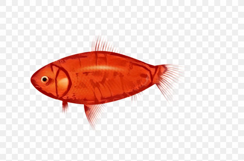 Fish Orange S.A., PNG, 1967x1307px, Fish, Bonyfish, Orange, Orange Sa Download Free
