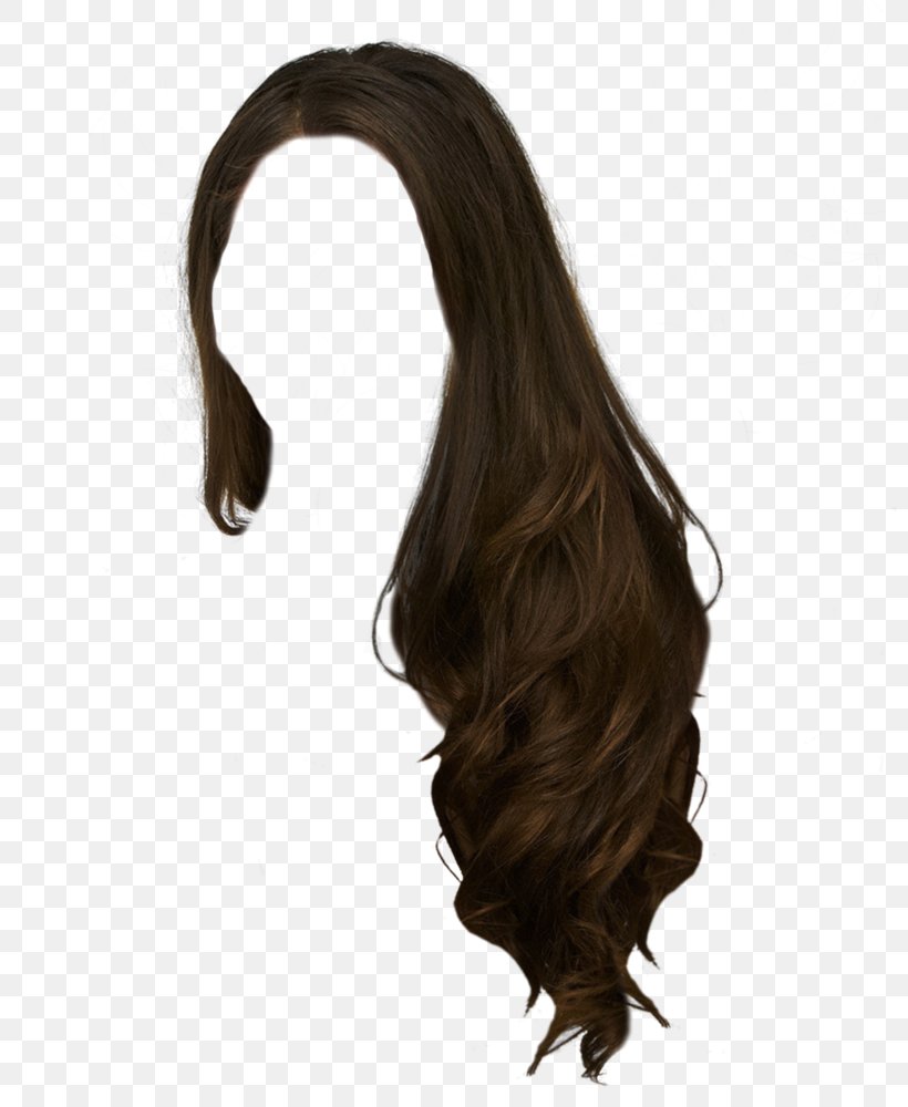 Hairstyles Png Hd - Transparent Black Hair Png, Png Download - kindpng
