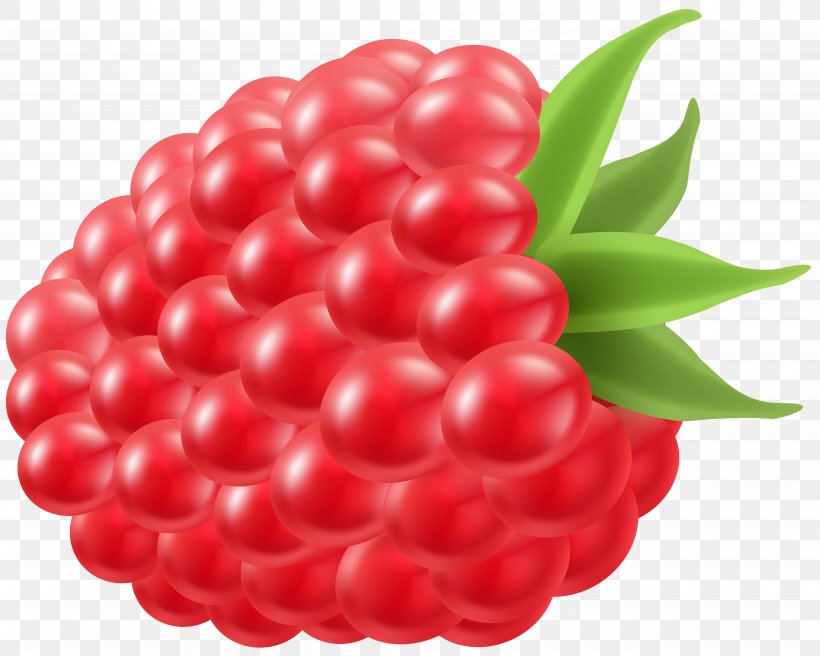 Raspberry Frutti Di Bosco Clip Art, PNG, 5000x4002px, Raspberry, Auglis, Berry, Blackberry, Blue Raspberry Flavor Download Free