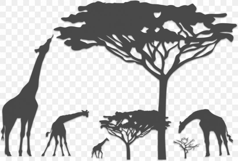 Safari Vector Graphics Kalahari Desert Illustration Giraffe, PNG, 953x644px, Safari, Black And White, Branch, Fauna, Giraffe Download Free