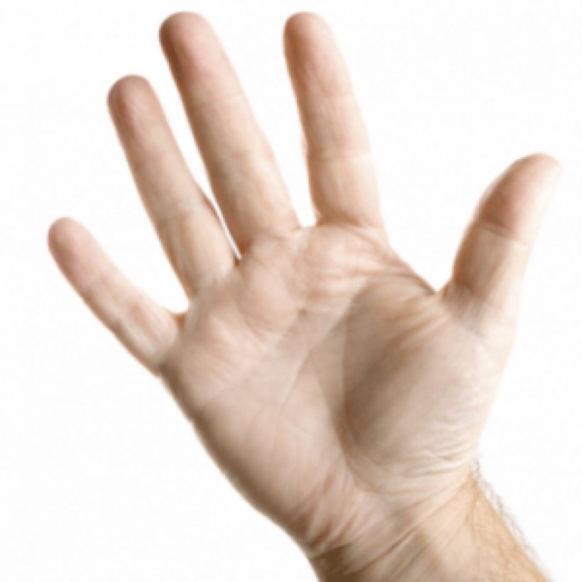 Hand Finger Fist Thumb Digit, PNG, 1024x1024px, Hand, Arm, Digit, Fact, Finger Download Free