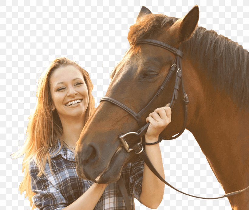Horse Equestrian Bridle Leavenworth Stallion, PNG, 883x746px, Horse, Bridle, Equestrian, Halter, Horse Grooming Download Free