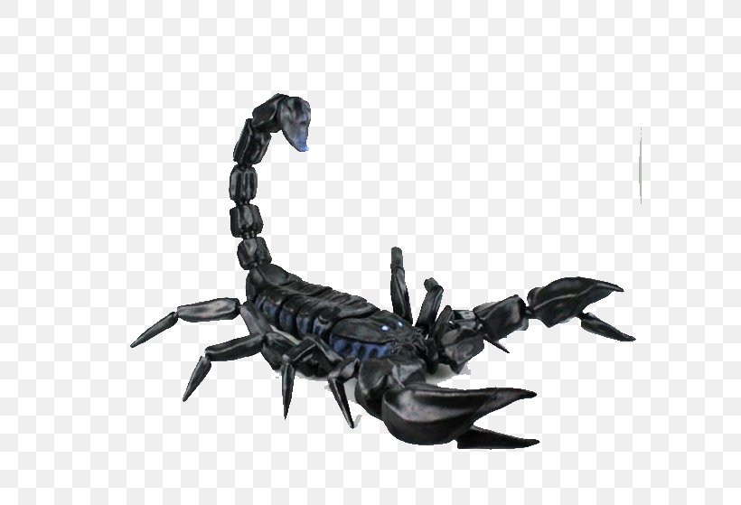 Scorpion 3D Printing 3D Modeling 3D Computer Graphics, PNG, 600x559px, 3d Computer Graphics, 3d Modeling, 3d Printing, Scorpion, Arachnid Download Free