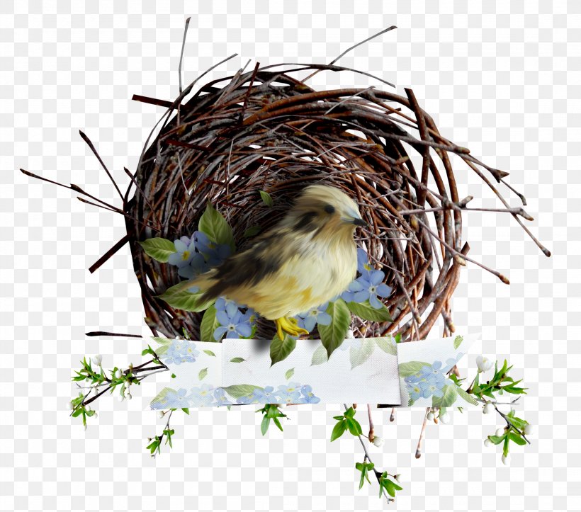 Bird Nest Owl Eurasian Magpie, PNG, 2200x1940px, Bird, Beak, Bird Nest, Branch, Eurasian Magpie Download Free