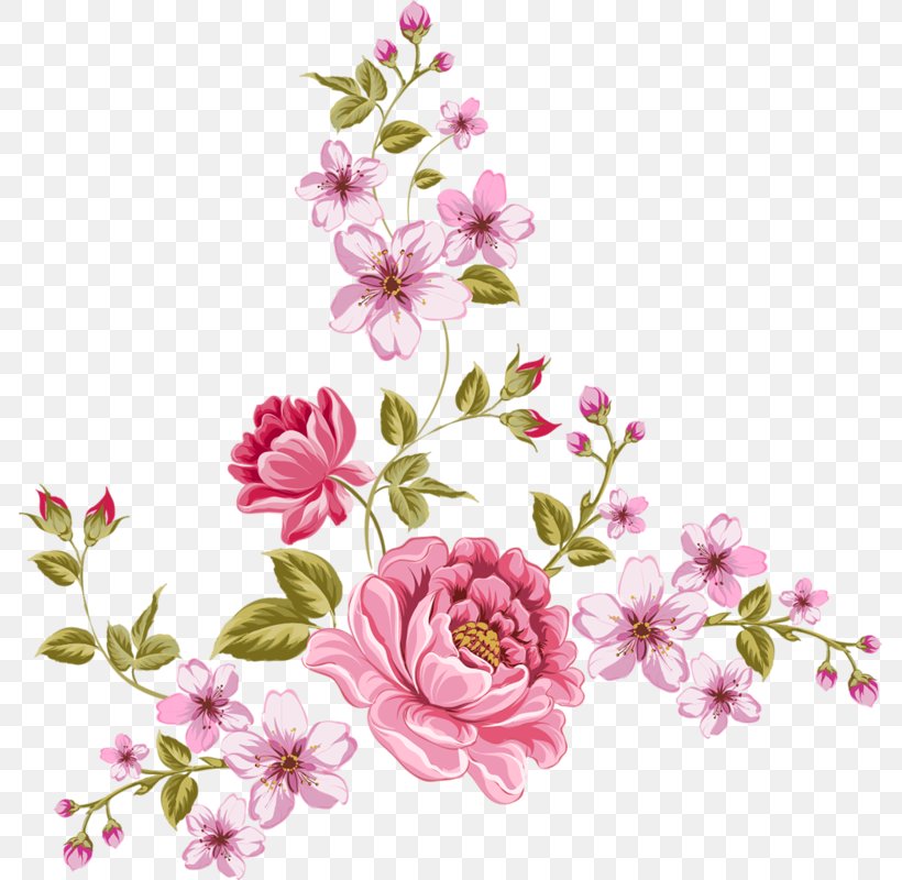 Rose, PNG, 785x800px, Rose, Blossom, Branch, Cherry Blossom, Cut Flowers Download Free