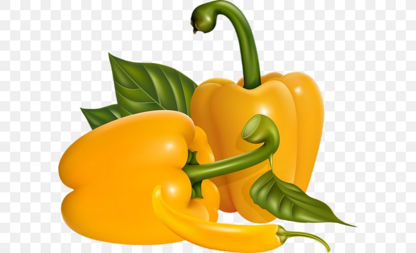 Habanero Serrano Pepper Cayenne Pepper Yellow Pepper Bell Pepper, PNG, 590x500px, Habanero, Bell Pepper, Bell Peppers And Chili Peppers, Capsicum, Capsicum Annuum Download Free