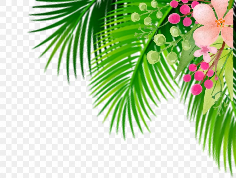 Leaf, PNG, 1279x964px, Leaf, Arecaceae, Arecales, Branch, Designer Download Free