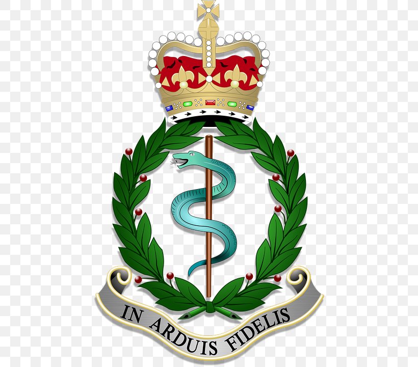 Royal Army Medical Corps Regiment British Army Combat Medic, PNG, 457x720px, Royal Army Medical Corps, Army Officer, Badge, British Army, Cap Badge Download Free