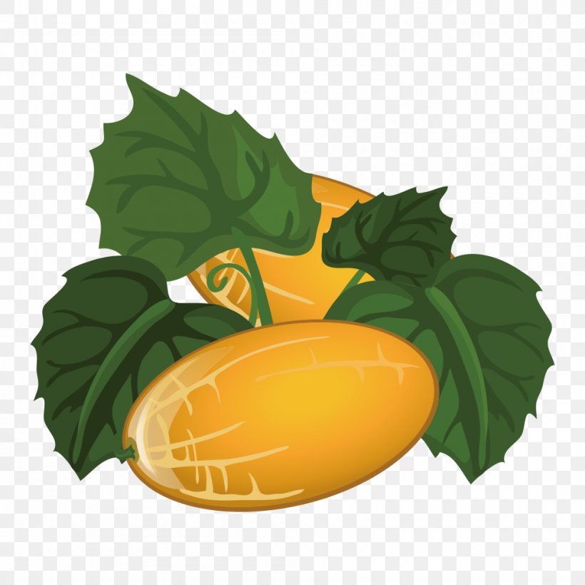 Canary Melon Fruit Cantaloupe, PNG, 1000x1000px, Melon, Canary Melon, Cantaloupe, Citrus, Cucumber Gourd And Melon Family Download Free