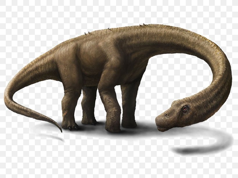 Dreadnoughtus Dinosaur Size Tyrannosaurus World's Largest Dinosaur, PNG, 800x613px, Dreadnoughtus, Claw, Dinosaur, Dinosaur Size, Earth Download Free