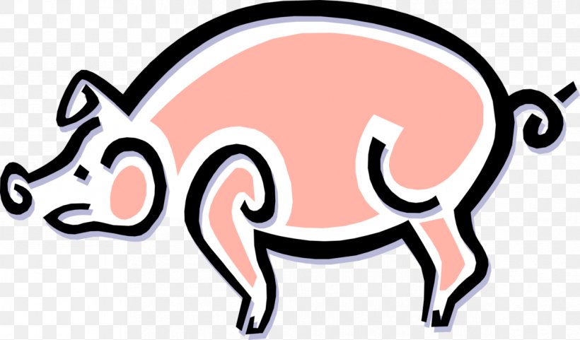 Pig Roast American Legion Post 294 Saint-Remy, Vosges Bacon, PNG, 1191x700px, Pig, Animal, Animal Silhouettes, Area, Bacon Download Free