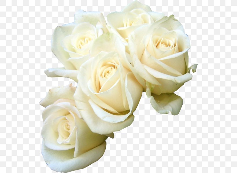 Rose Flower Bouquet White Clip Art, PNG, 549x600px, Rose, Artificial Flower, Cut Flowers, Floral Design, Floribunda Download Free