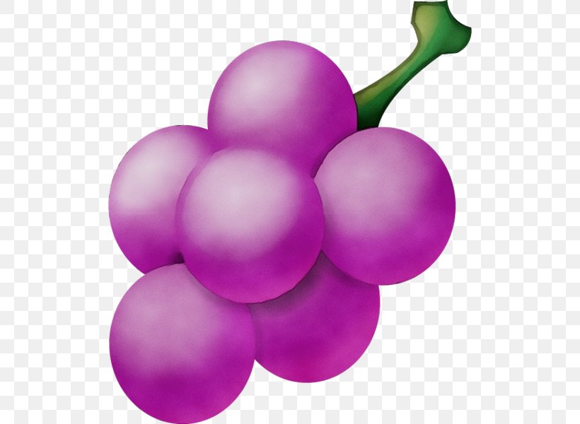 Watercolor Plant, PNG, 600x600px, Watercolor, Fruit, Grape, Grapevine Family, Lilac Download Free