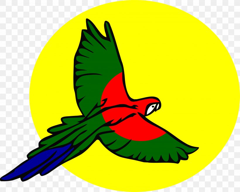 Design, PNG, 3954x3168px, Macaw, Artwork, Autocad Dxf, Beak, Bird Download Free