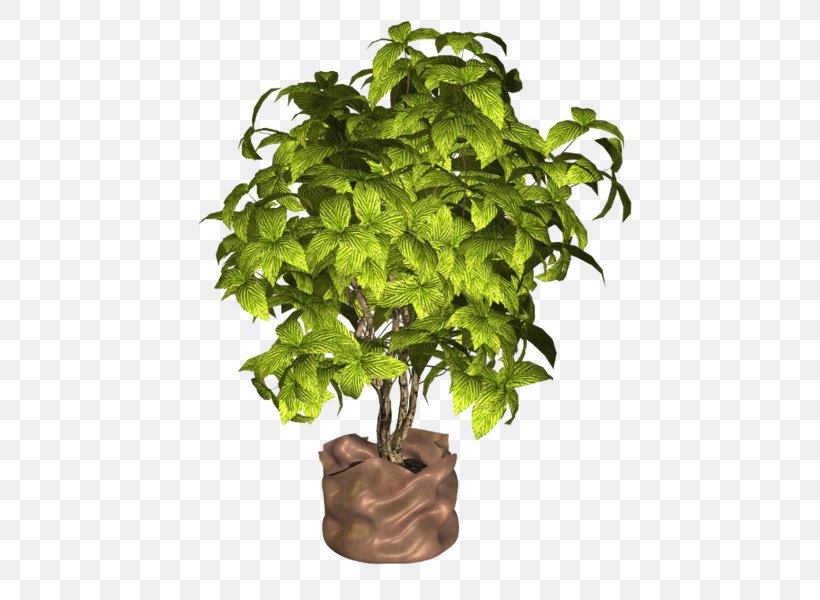 Flowerpot Houseplant Herb, PNG, 474x600px, Flowerpot, Herb, Houseplant, Plant, Tree Download Free