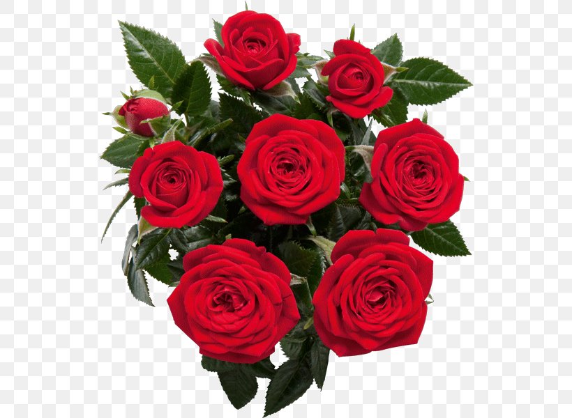 Garden Roses, PNG, 600x600px, Garden Roses, Artificial Flower, Cut Flowers, Floral Design, Floribunda Download Free
