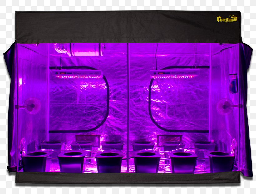 Growroom Light-emitting Diode Hydroponics Display Device, PNG, 800x620px, Growroom, All In, Computer Monitors, Display Device, Garden Download Free