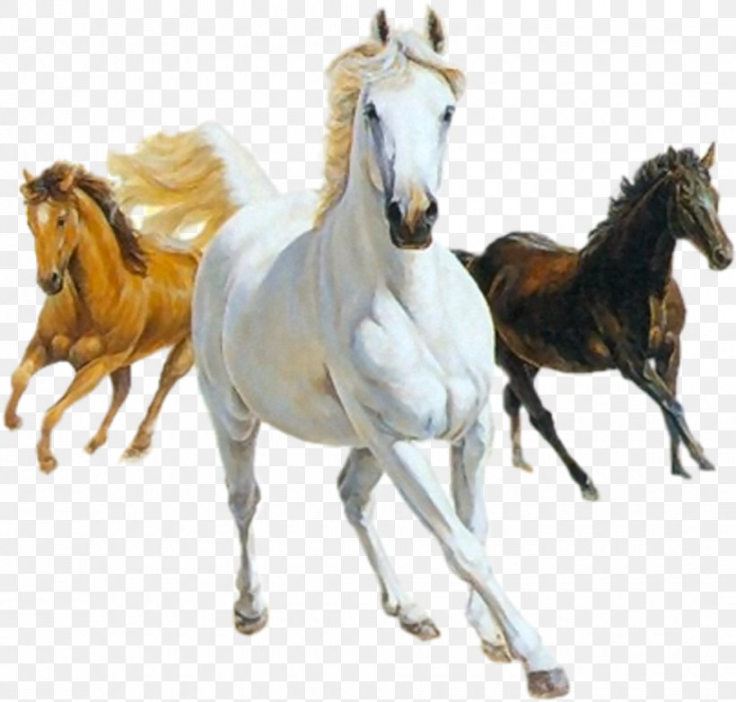 Icelandic Horse Colt Mustang Canter And Gallop Clip Art, PNG, 980x936px, Icelandic Horse, Animal Figure, Canter And Gallop, Colt, Equestrian Download Free