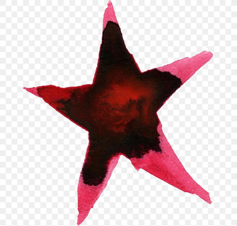 Watercolour Flowers Watercolor Painting Star, PNG, 659x782px, Watercolour Flowers, Color, Digital Media, Illustrator, Magenta Download Free