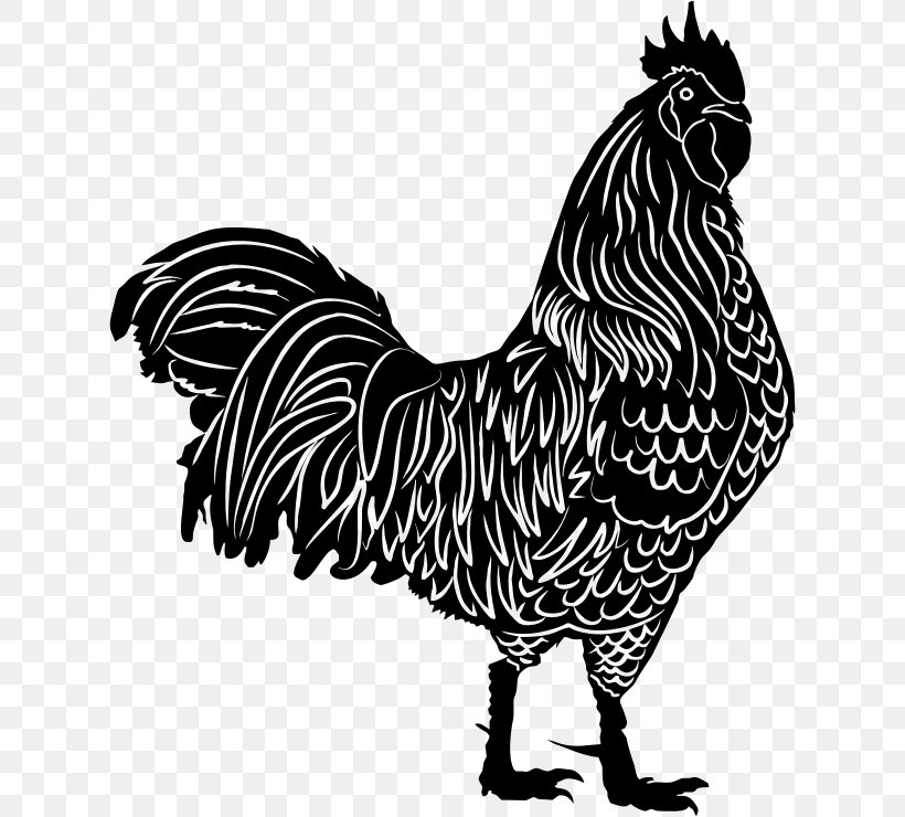 Rooster Silhouette - Rooster broiler doner kebab leghorn kyckling fjäderfä,...