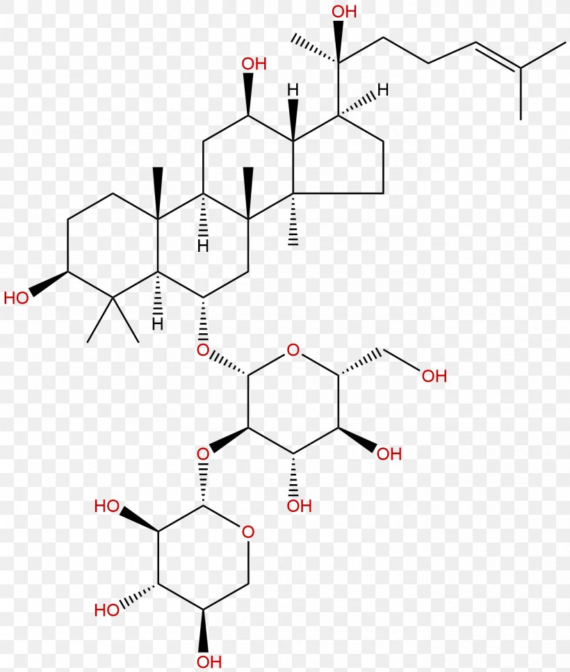 Ginsenoside Saponin Chinese Herbology Panax Notoginseng Pharmacology, PNG, 1372x1617px, Ginsenoside, Area, Chinese Herbology, Diagram, Drug Download Free