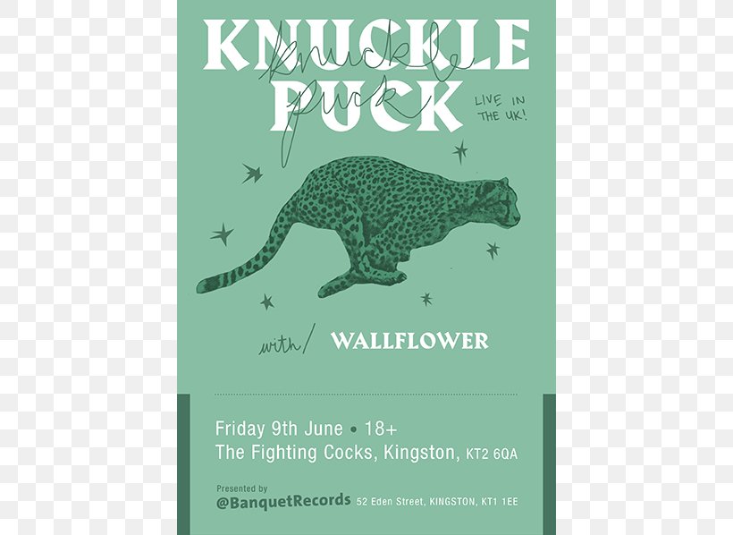 Knuckle Puck Pop Punk Emo Punk Rock Download Festival, PNG, 598x598px, Watercolor, Cartoon, Flower, Frame, Heart Download Free