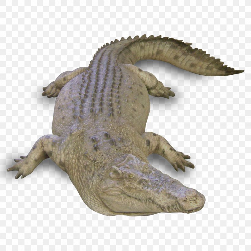 Nile Crocodile Alligators Terrestrial Animal, PNG, 1005x1005px, Nile Crocodile, Alligator, Alligators, Animal, Crocodile Download Free