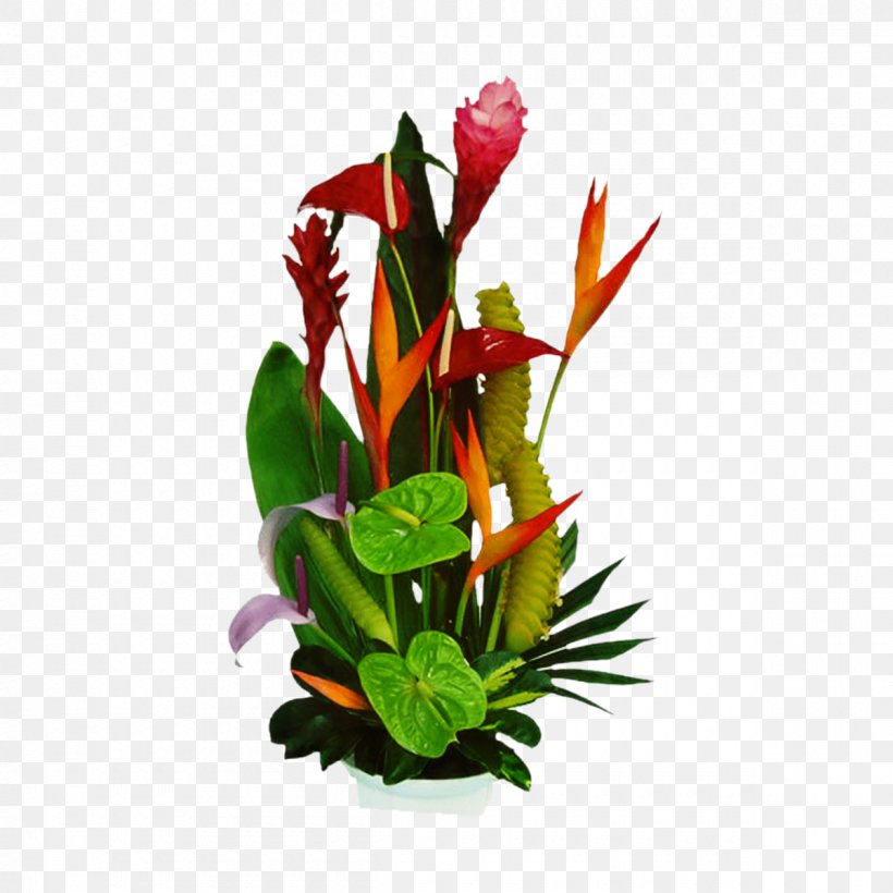 Bird Of Paradise Flower Image Flowerpot Plants, PNG, 1200x1200px, Bird Of Paradise Flower, Anthurium, Aquarium Decor, Artificial Flower, Botany Download Free