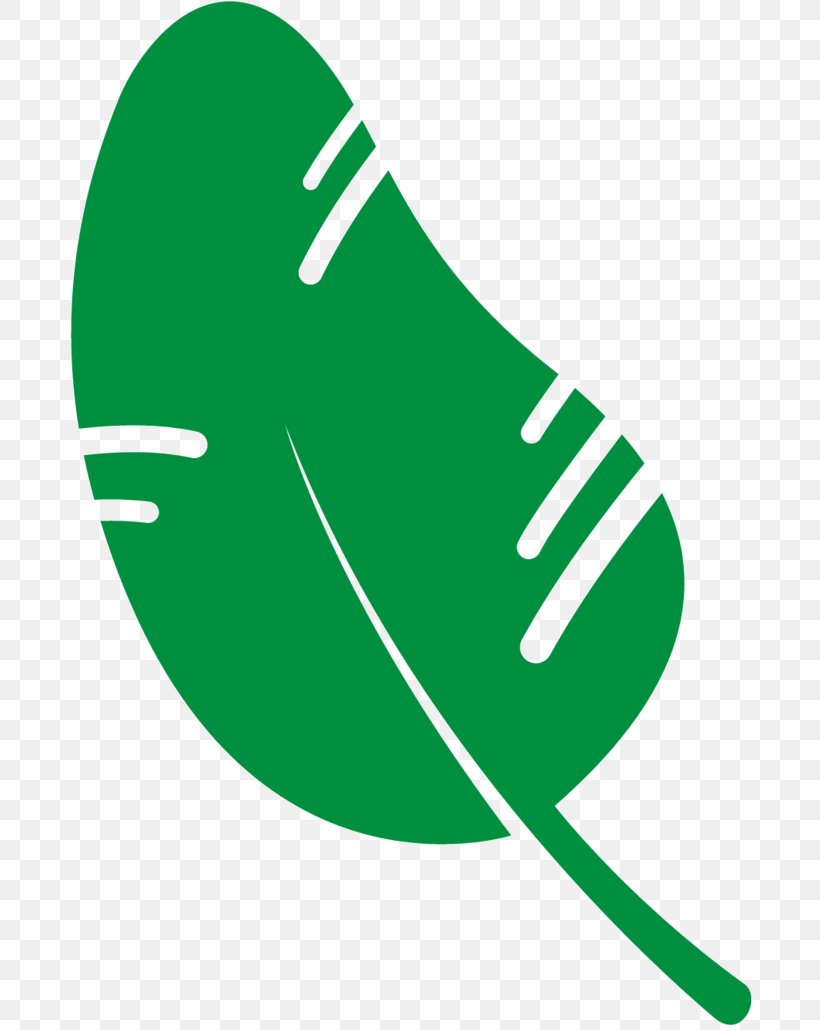 Clip Art Leaf Logo Product Design Line, PNG, 697x1030px, Leaf, Green, Logo Download Free