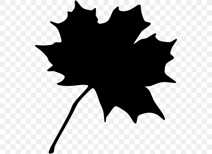 Maple Leaf Canada Clip Art, PNG, 552x597px, Maple Leaf, Artwork, Autumn, Autumn Leaf Color, Black Download Free