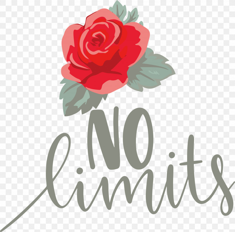No Limits Dream Future, PNG, 3000x2963px, No Limits, Cabbage Rose, Cut Flowers, Dream, Floral Design Download Free