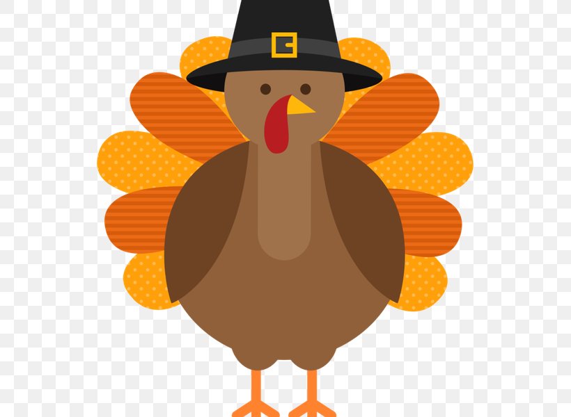 Thanksgiving Turkey Drawing, PNG, 600x600px, Thanksgiving, Beak, Bird, Cartoon, Chicken Download Free