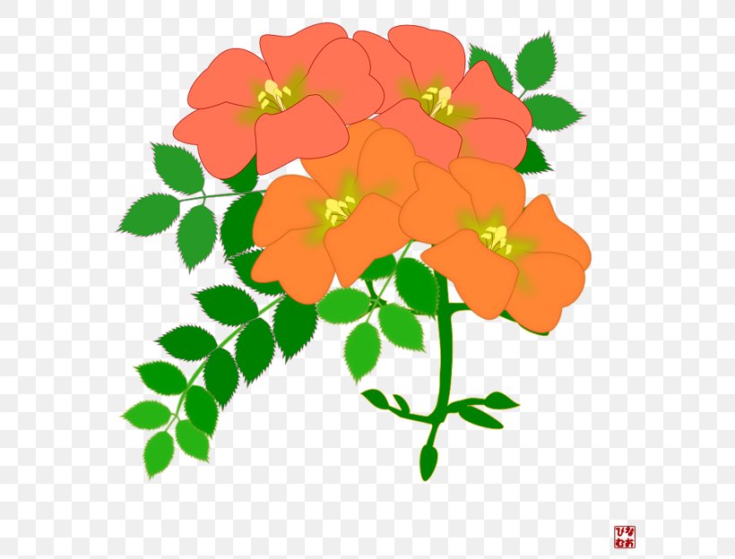 Campsis Grandiflora Cut Flowers Floral Design, PNG, 624x624px, Campsis Grandiflora, Annual Plant, Branch, Cut Flowers, Flora Download Free