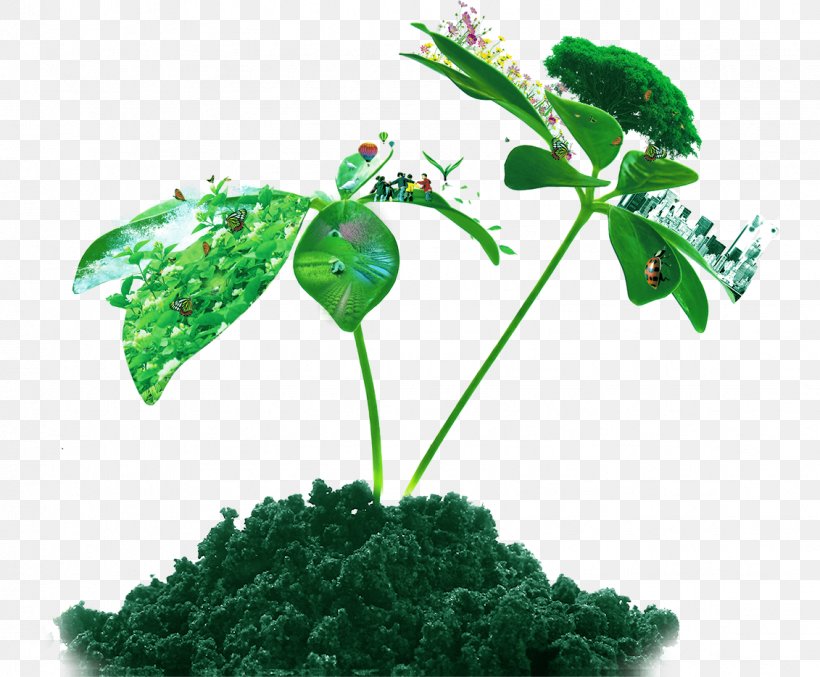 Soil Euclidean Vector Plant, PNG, 1131x935px, Soil, Flowerpot, Grass, Gratis, Herb Download Free