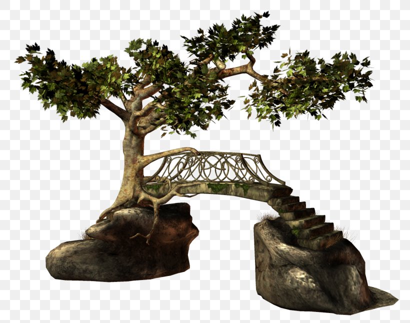 Bridge Tree Clip Art, PNG, 800x646px, Bridge, Bonsai, Depositfiles, Digital Image, Houseplant Download Free