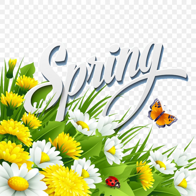 Flower Spring Illustration, PNG, 1000x1000px, Flower, Blossom, Butterfly, Cdr, Chamaemelum Nobile Download Free