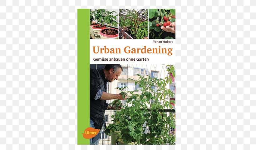 Gartenfachbetrieb Bräuninger Urban Gardening: Gemüse Anbauen Ohne Garten Cultiver Ses Légumes Hors-sol: Guide Pratique Du Potager Productif En Ville, PNG, 535x480px, Garden, Annual Plant, Bedding, Bylina, Flowerpot Download Free