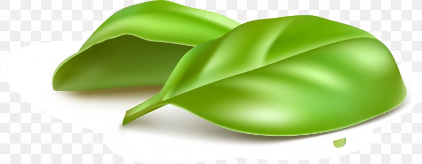 Green Leaf Wallpaper, PNG, 3001x1174px, Green, Computer, Leaf Download Free