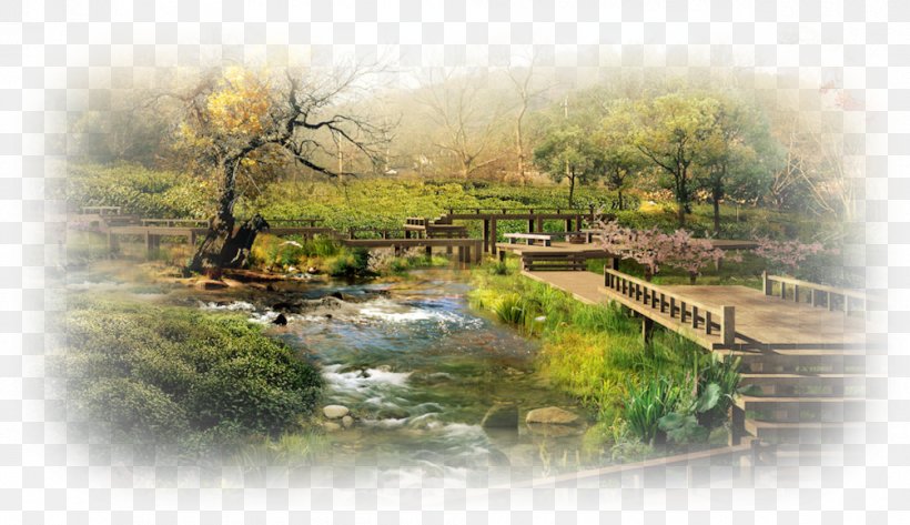 Ninna-ji Natural Landscape Japanese Garden, PNG, 1004x580px, 4k Resolution, Landscape, Bank, Bayou, Display Resolution Download Free